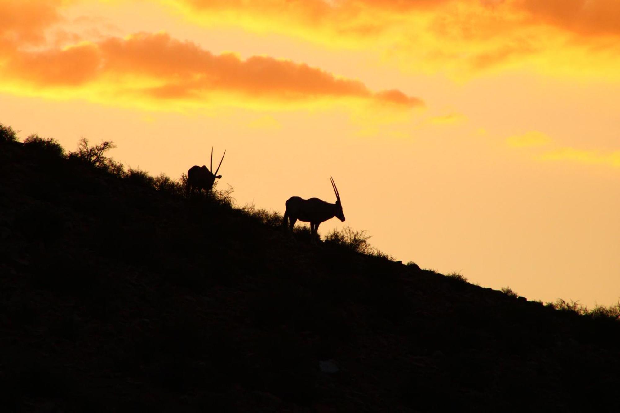 Bosch Luys Kloof Nature Reserve 莱迪史密斯 外观 照片