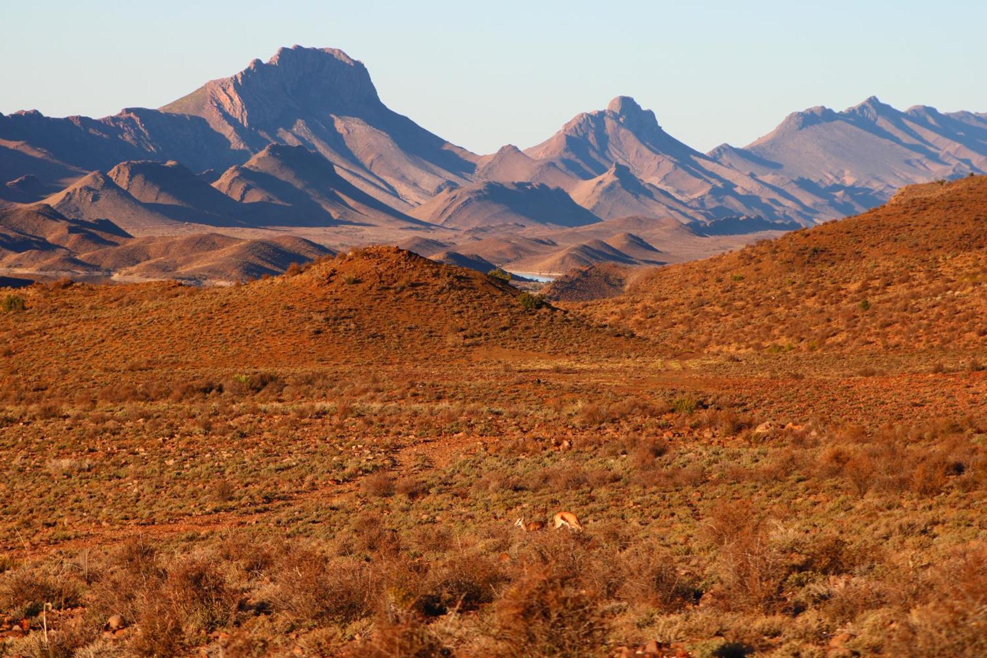 Bosch Luys Kloof Nature Reserve 莱迪史密斯 外观 照片