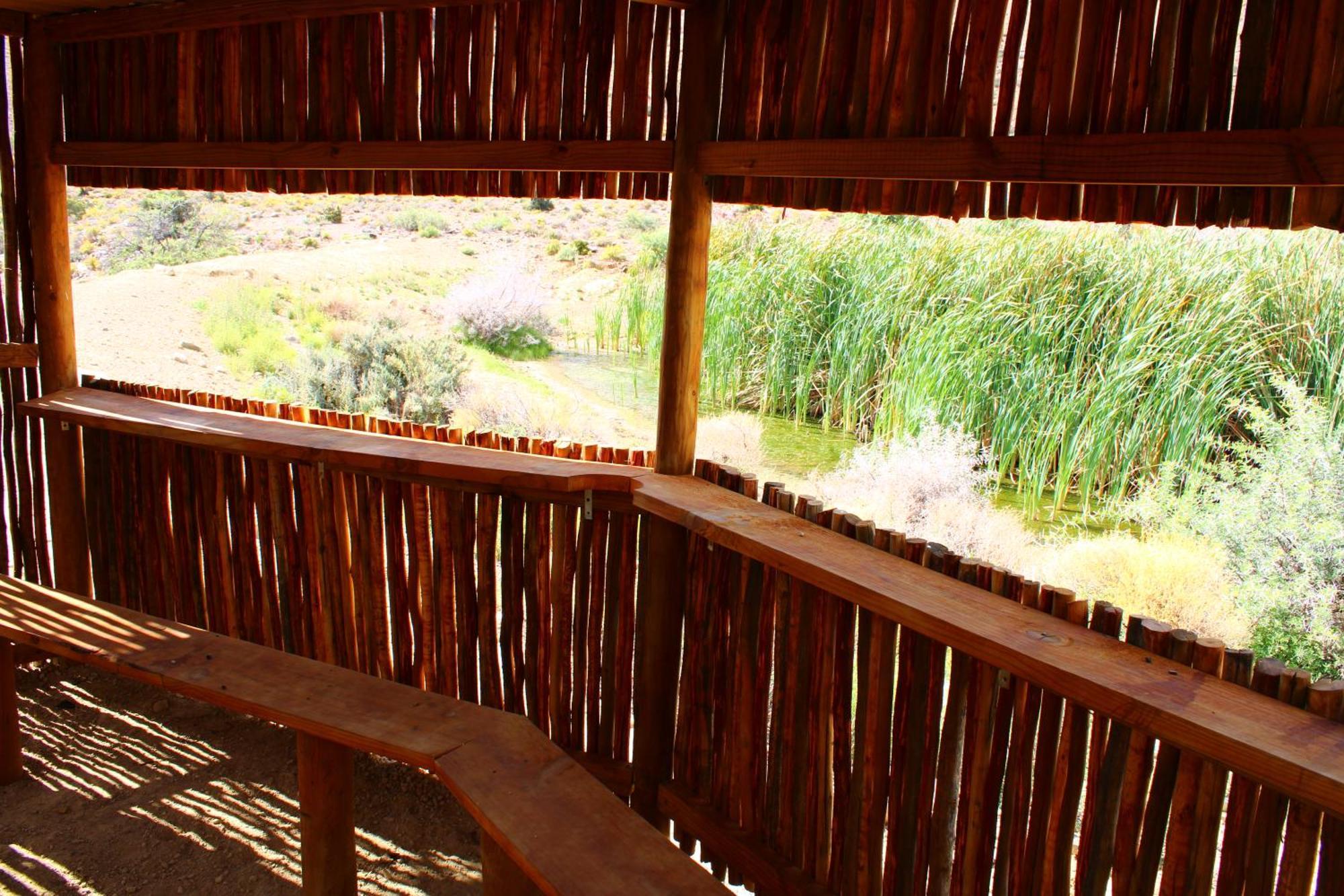 Bosch Luys Kloof Nature Reserve 莱迪史密斯 外观 照片