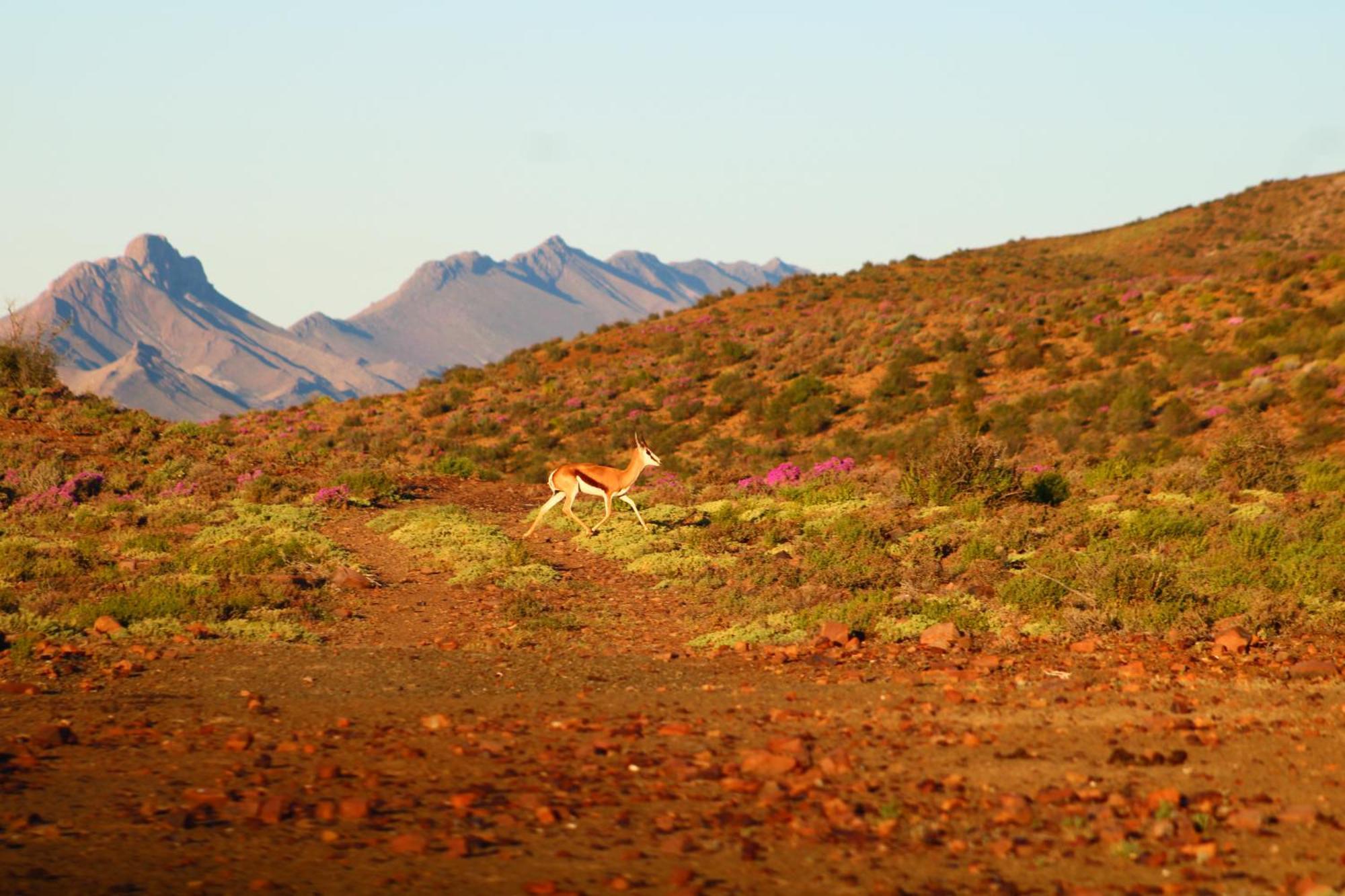 Bosch Luys Kloof Nature Reserve 莱迪史密斯 外观 照片